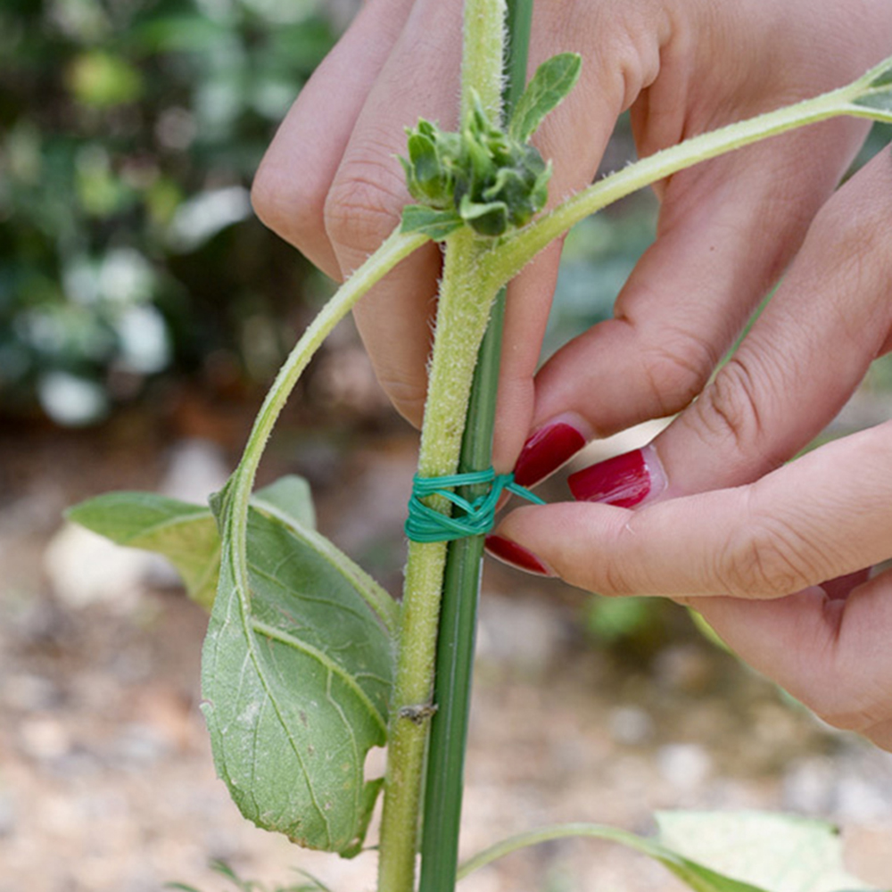 Multifunctional Garden Twist T – Gear Tie Reusable Bewertung und Preis