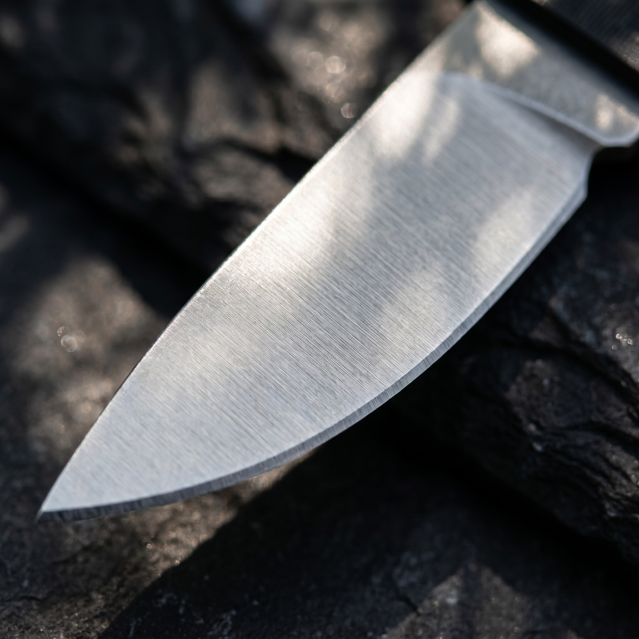 Portable Folding Pocket Knife  – Edc Carry Pocket Knife Bewertung und Preis