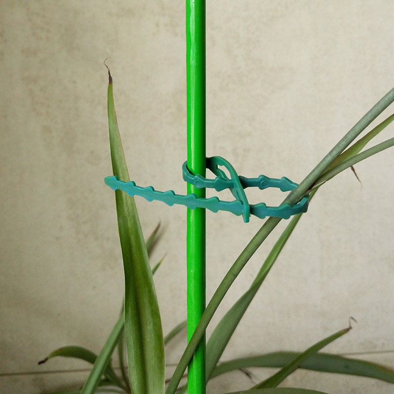 50/100Pcs Reusable Garden Cabl – Gear Tie Reusable Bewertung und Preis