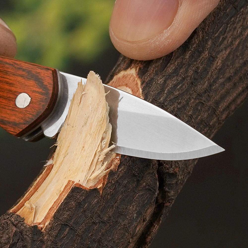 Small Keychain Pocket Knife Ev – Edc (Every Day Carry Bewertung und Preis